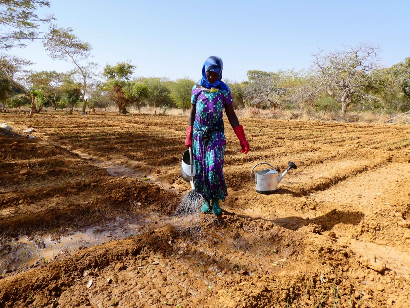 Aménagement de cinq (05) ha au profit de 50 femmes déplacées internes pour la culture du sésame